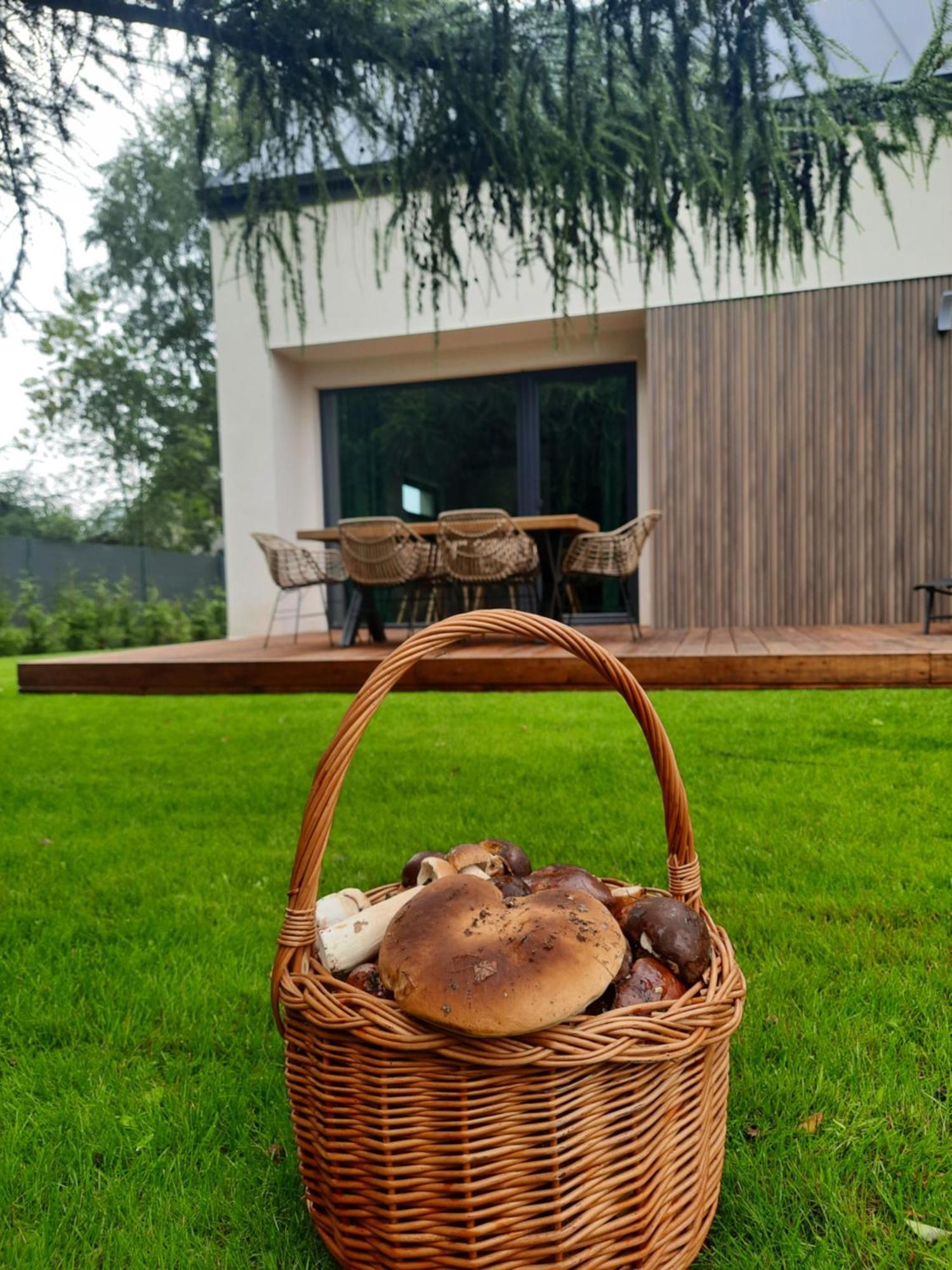Sosnowe Zacisze Villa Sasino Buitenkant foto