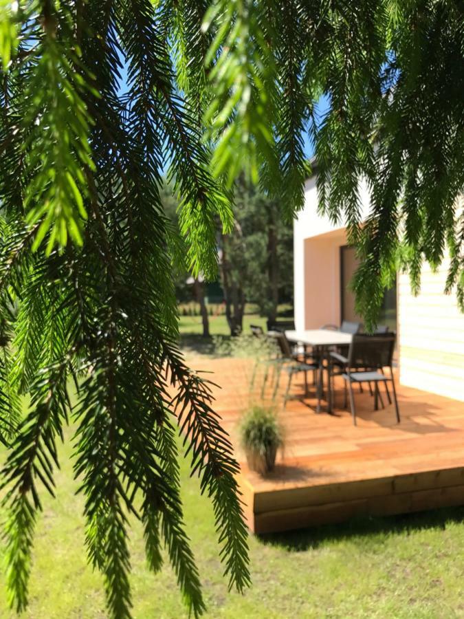 Sosnowe Zacisze Villa Sasino Buitenkant foto